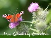 Unser kleines Atelier